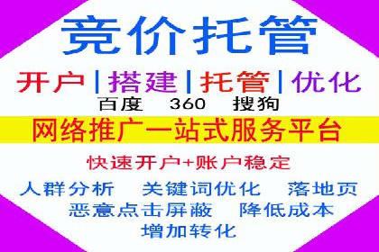 百度竞价推广案例：行业领军者成长故事